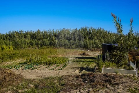 Terreno em Ferrel, Peniche