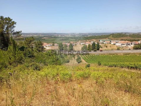 Terreno em Roliça, Bombarral