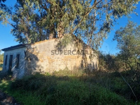 Terreno em São Pedro de Tomar, Tomar