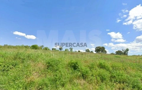 Terreno em Mouriscas, Abrantes