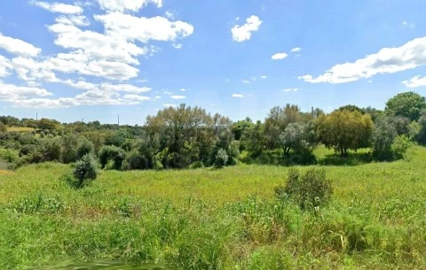 Terreno em Mouriscas, Abrantes