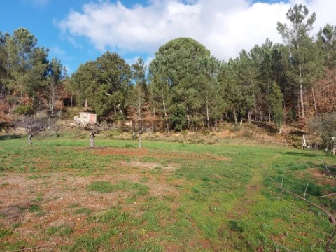 Terreno em Côja e Barril de Alva, Arganil
