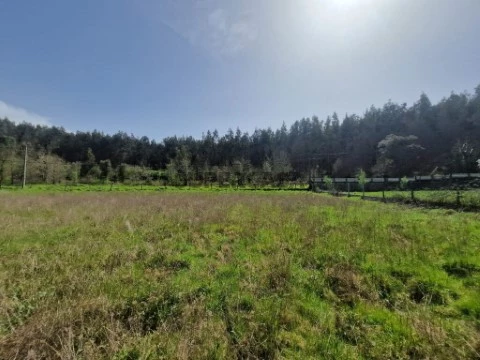 Terreno em São João da Boa Vista, Tábua