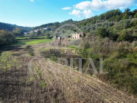 Terreno em Côja e Barril de Alva, Arganil