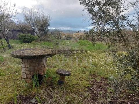 Terreno em Póvoa de Midões, Tábua