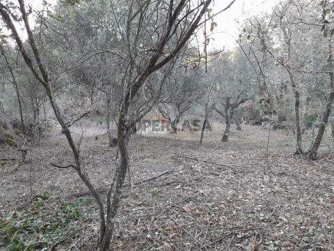 Terreno Rústico em Santa Maria de Marvão, Marvão