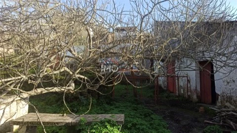 Farm 3 bedrooms in Santa Maria da Devesa, Castelo de Vide