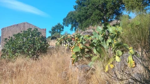 Moradia T0 em Beirã, Marvão
