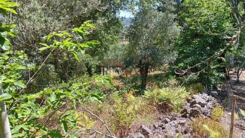 Terreno Rústico em São Salvador da Aramenha, Marvão