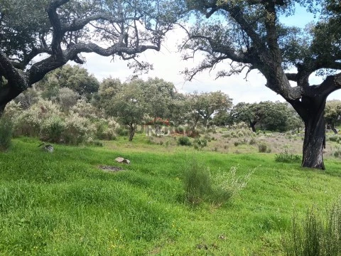 Terreno