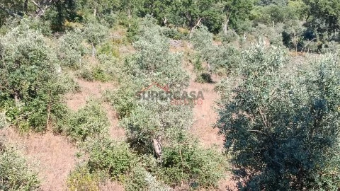 Terreno Rústico em São Salvador da Aramenha, Marvão