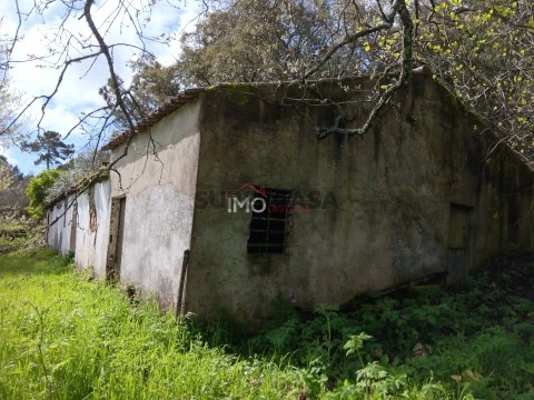 Quinta T5 em São Salvador da Aramenha, Marvão