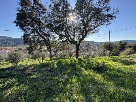 Terreno