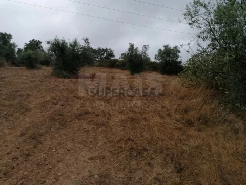 Terreno em Mouriscas, Abrantes