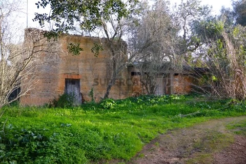 Terreno em Pêra, Silves