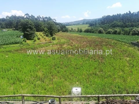 Terreno em Ferreiros, Prozelo e Besteiros, Amares