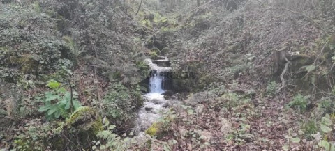 Terreno em Moimenta, Terras de Bouro