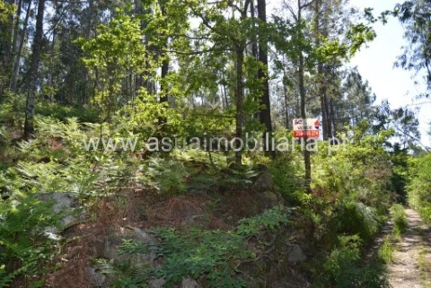 Terreno em Caires, Amares