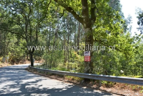 Terreno em Fiscal, Amares