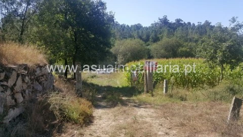 Terreno em Ferreiros, Prozelo e Besteiros, Amares