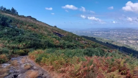 Terreno em Caldelas, Sequeiros e Paranhos, Amares