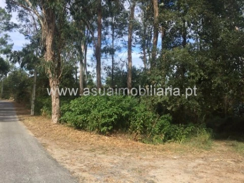 Terreno en Lago, Amares