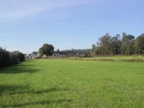 Terreno em Ferreiros, Prozelo e Besteiros, Amares