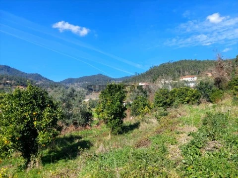 Terreno em Goães, Amares