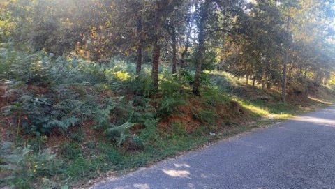 Terreno em Fiscal, Amares
