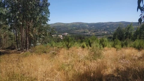 Sol