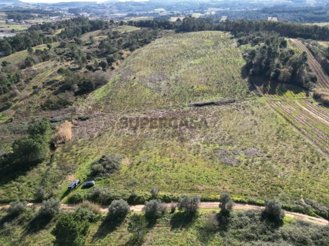 dji_fly_20250204_190518_689_1738667229128_photo