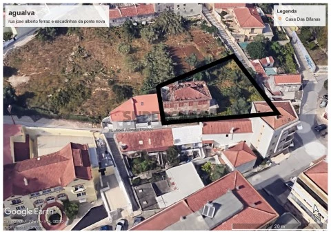 jose alberto ferraz e escadinhas planta marcada