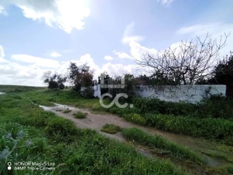 Terreno em Castro Verde e Casével, Castro Verde