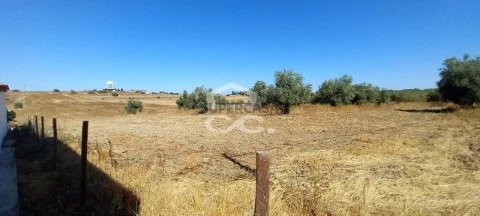 Terreno em Beringel, Beja