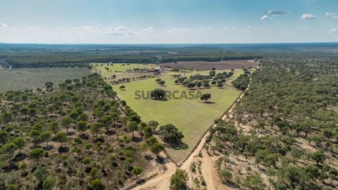 Quinta de 36 hectares para venda em Ponte de Sôr