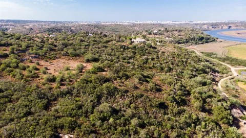 Ruína em Estrada das Fontes, Estômbar e Parchal, Lagoa