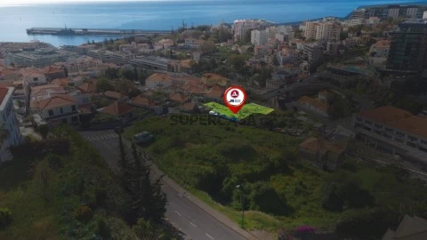 Vista Drone