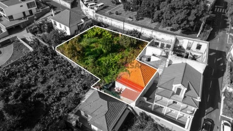 Vista Drone