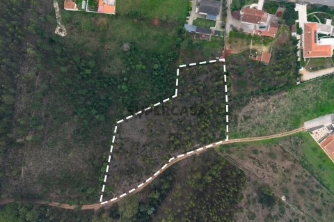 Vista aérea