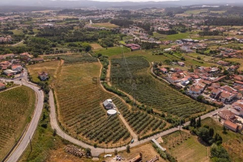 Vista aérea