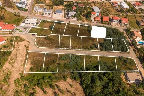 Lote2