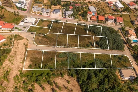 Delimitação