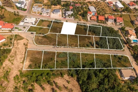 Lote4