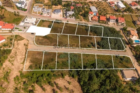 Lote10