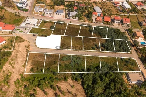 Lote12