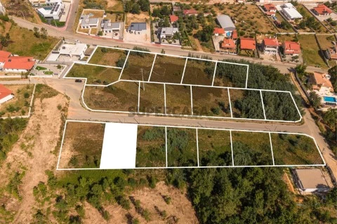 Lote13