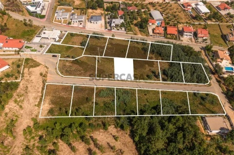 Lote16