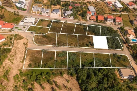 Lote20