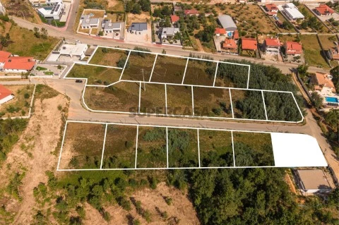 Lote23