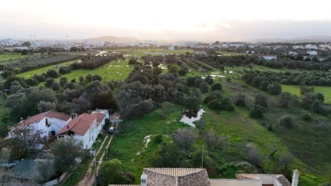 Quinta para venda em Salir Algarve